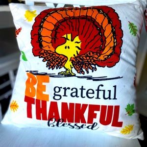 peanuts Woodstock thankful pillow NWT